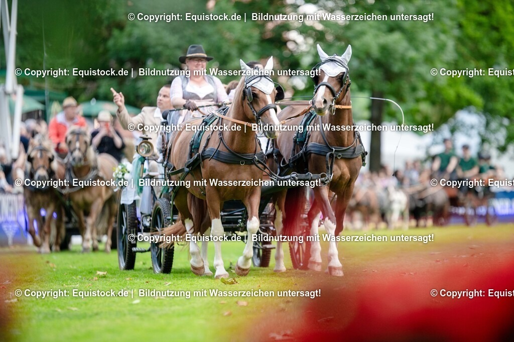 20250606_Lange-Pferdenacht_0150 | Foto: Thomas Hartig