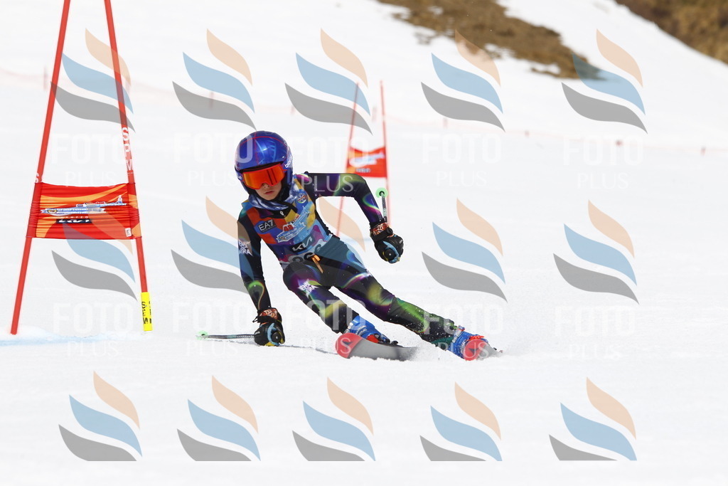 _U3G6677 | holidayphoto