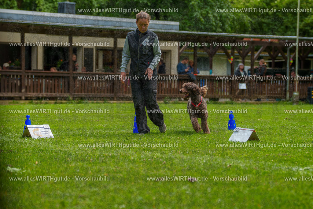 @allesWIRTHgut_Tierfotografie - www.allesWIRTHgut.de - 7R501120 | Professionelle Tierfotografie in Mönchengladbach von Daniel Wirth (allesWIRTHgut). Liebevolle & natürliche Bilder von Hunden & Katzen für unvergessliche Erinnerungen.