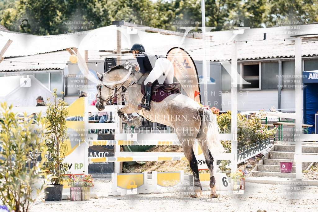 CK907988 | Turnierfotografie Pferdefotografie Trier Rheinland-Pfalz Pferdesport Reitsport Tierfotografie Sportfotografie Pferdevideo Pferdevideografie Equestrianvideography equestrianphotography  - Realisiert mit Pictrs.com