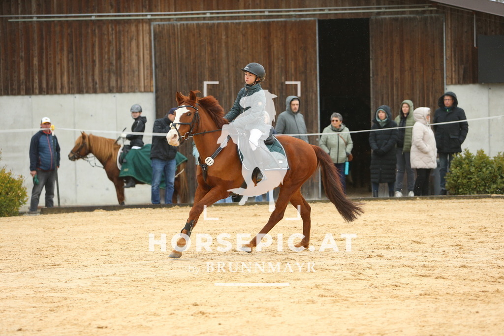 DL2Q1230 | Willkommen bei Brunnmayr - Design & Fotografie – Ihrem Spezialisten für Reitturniere und Pferdeveranstaltungen in Oberösterreich, Salzburg und Bayern! Seit über 17 Jahren sind wir leidenschaftlich dabei.