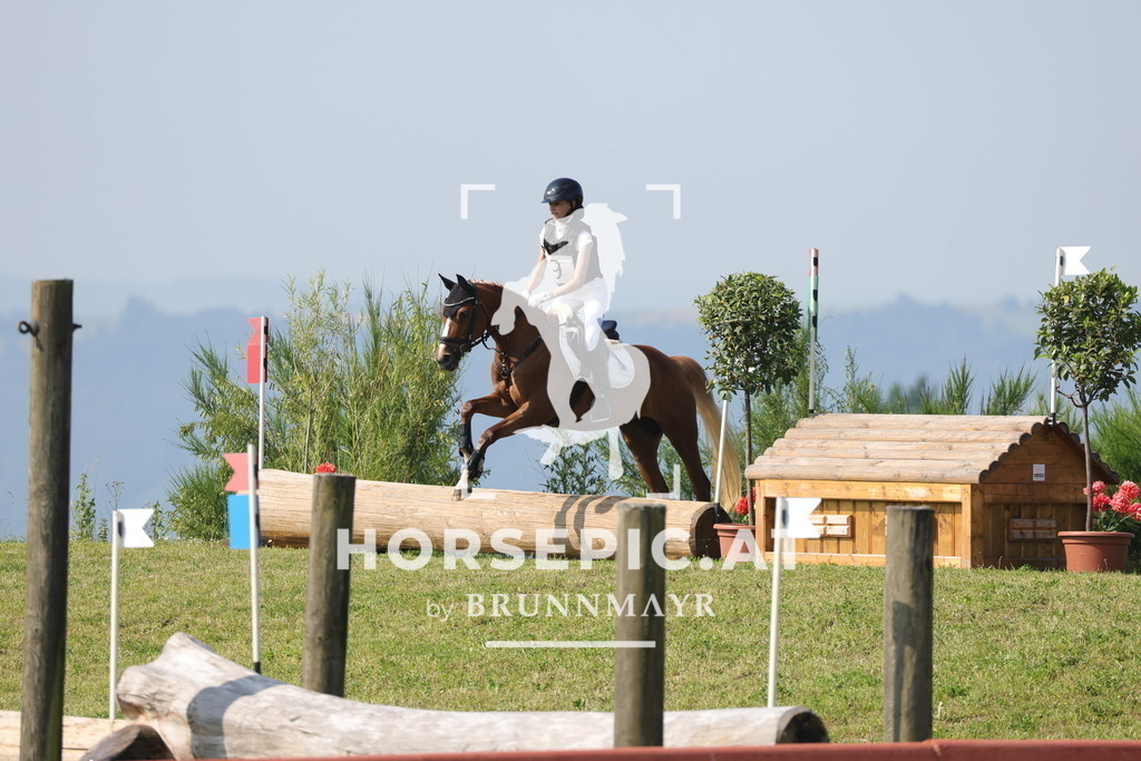 0P6A7422 | Willkommen bei Brunnmayr - Design & Fotografie – Ihrem Spezialisten für Reitturniere und Pferdeveranstaltungen in Oberösterreich, Salzburg und Bayern! Seit über 17 Jahren sind wir leidenschaftlich dabei.