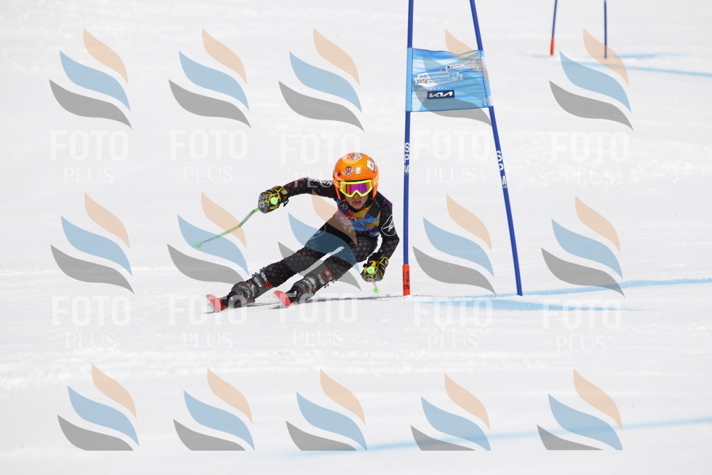 _U3G4433 | holidayphoto