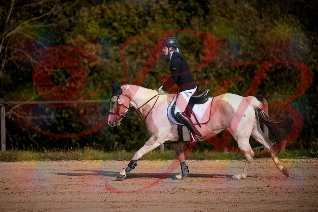 2026_10_03_Siefer-Hof_144251_Z81_16133690 | Professionelle Reitsport-, Turnier- und Eventfotografie von Robert Broda. Galerien mit ausgewählten und bearbeiteten Bildern direkt online ansehen und bestellen.