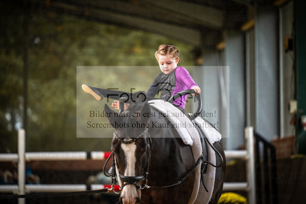 DOS_0067 | Entdecke hochwertige Reitturnierfotos von Foto Oger. Professionell, emotional und authentisch – jetzt Lieblingsmomente im Shop bestellen.Deutschlandweite Turnierfotografie. - Realisiert mit Pictrs.com