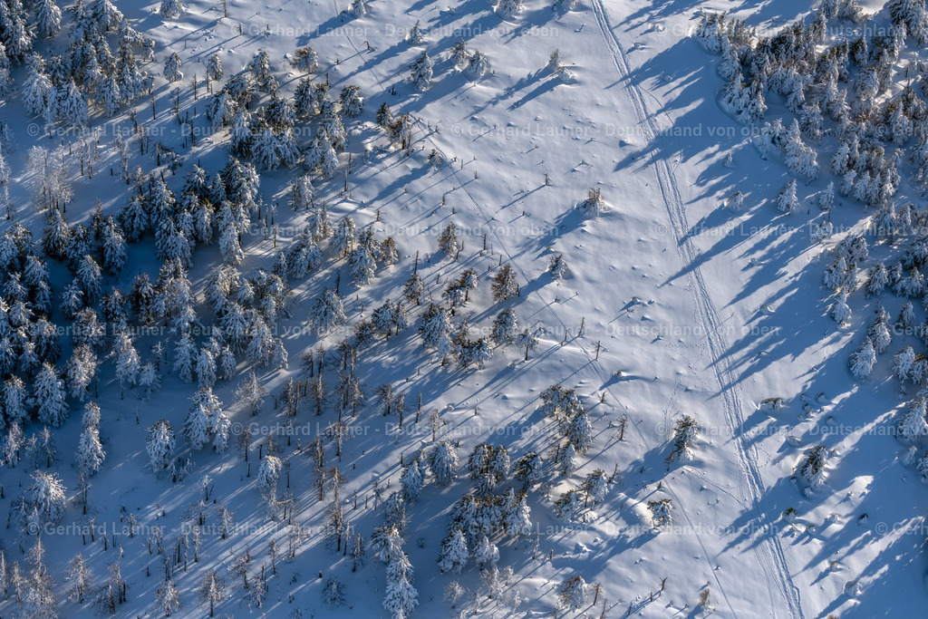 4044905 | SCHIERKE 14.02.2021 Winterlich schneebedeckte Baumspitzen in einem Waldgebiet in Schierke im Nationalpark Harz im Bundesland Sachsen-Anhalt, Deutschland. // Wintry snowy treetops in a wooded area in Schierke in the Harz in the state Saxony-Anhalt, Germany. Foto: Gerhard Launer