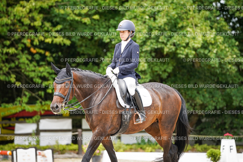 DSC05644 | Pferdegrafie