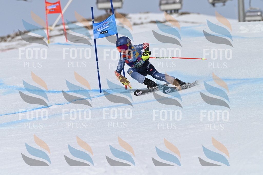 BGV_4485 | holidayphoto