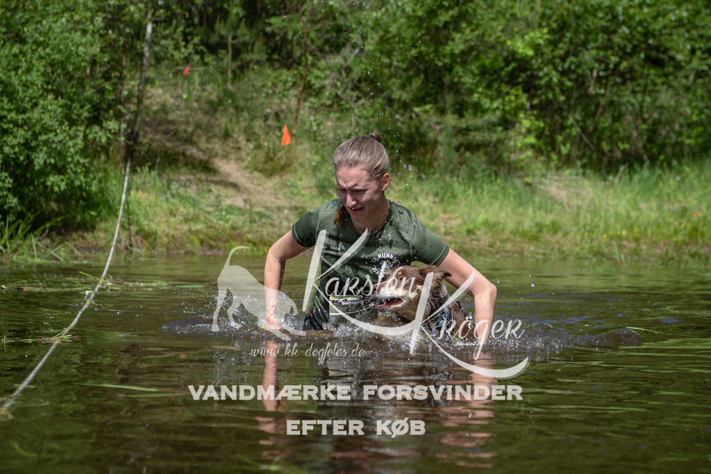 1202DKK991593 | kk-dogfotos