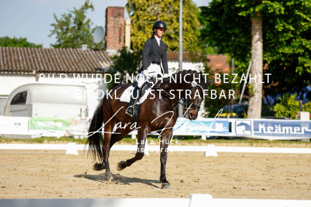 _62_2356 | larahueckfotografie