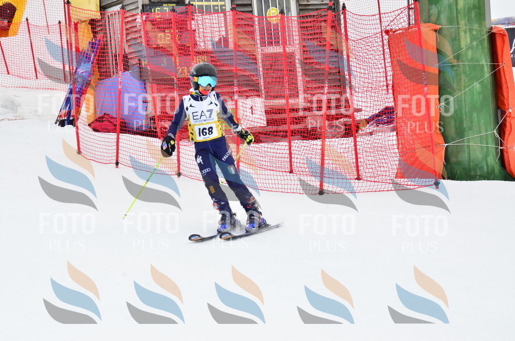 _ELE3889 | holidayphoto