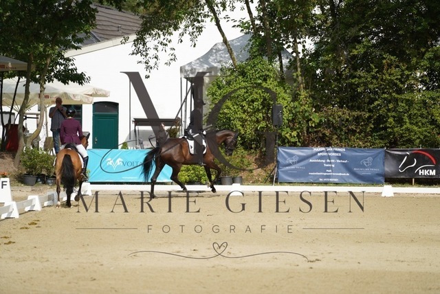 VAN00214 | Marie Giesen Fotografie - Realisiert mit Pictrs.com