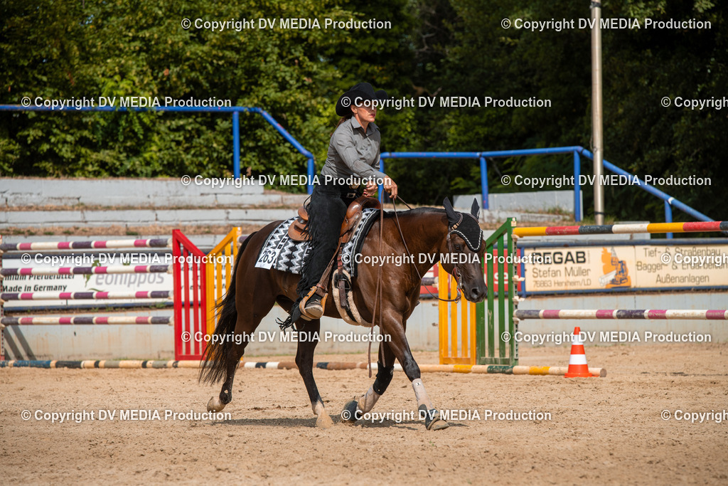 EWP_5924 | dv-media-shop - Realisiert mit Pictrs.com