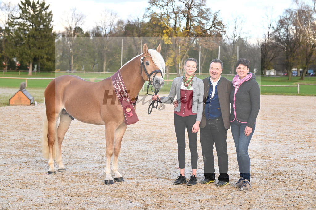 Kat-Nr. 35 Whisky Coke v. Wyno_Mayer_60221808 | hf-fotografie - Realisiert mit Pictrs.com