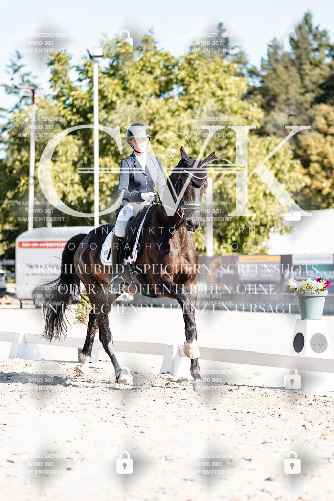 CK907892 | Turnierfotografie Pferdefotografie Trier Rheinland-Pfalz Pferdesport Reitsport Tierfotografie Sportfotografie Pferdevideo Pferdevideografie Equestrianvideography equestrianphotography  - Realisiert mit Pictrs.com