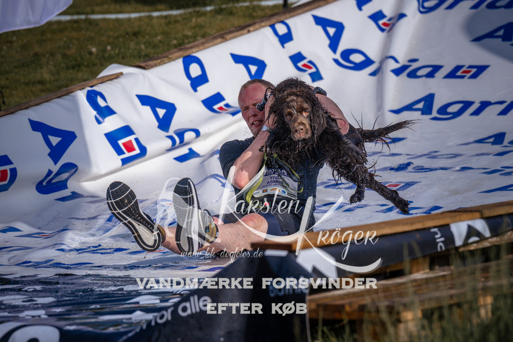 _ZZ951710724 | kk-dogfotos