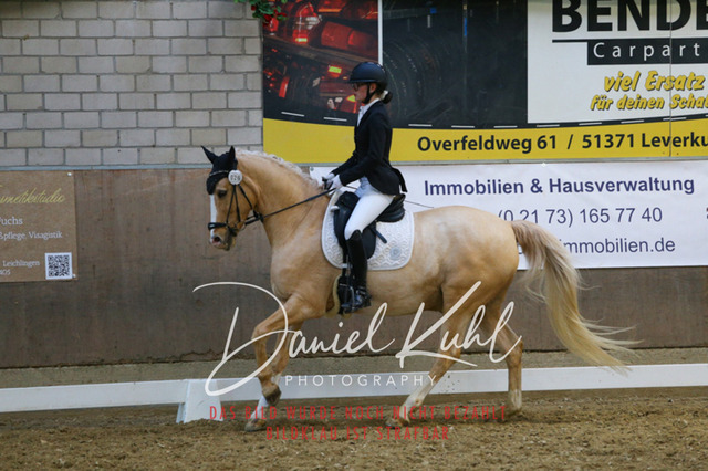 IMG_2783 | Turnierfotos kaufen im Webshop von Daniel Kuhl Photography – entdecke professionelle Reitsportfotos aus Turnieren & Events. Hochwertige Turnierbilder online bestellen & sichern. Jetzt Fotos von Reitsportturnieren kaufen!