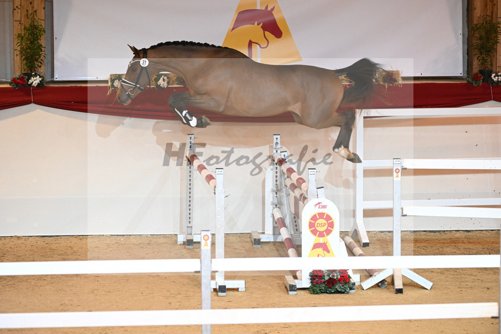 Kat-Nr. 31 Poker de Mariposa_Beckmann_1231045 | hf-fotografie - Realisiert mit Pictrs.com