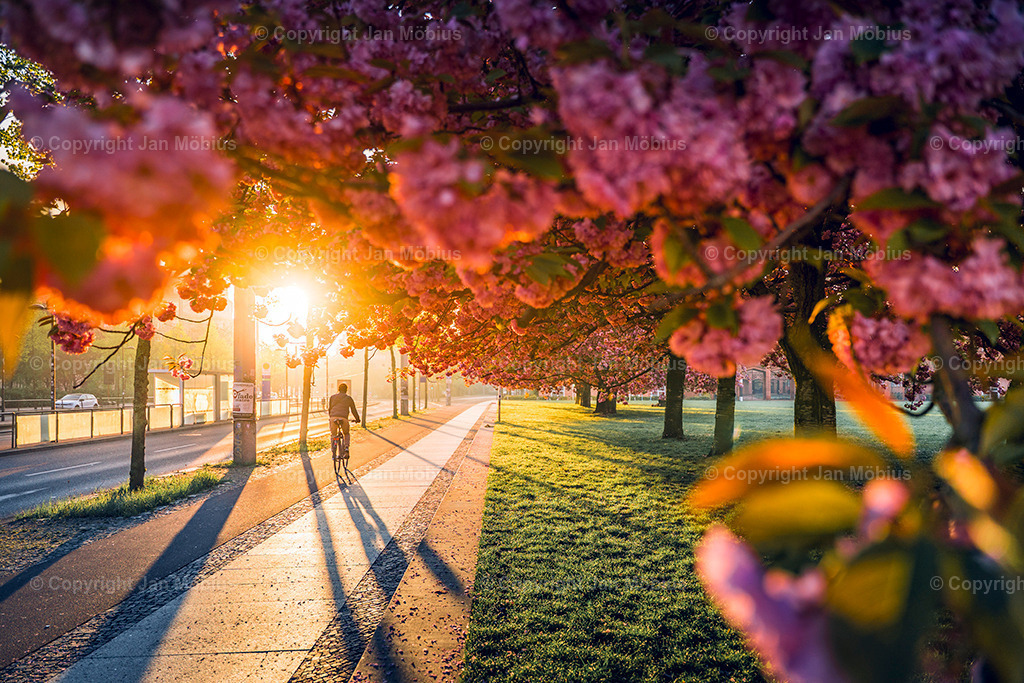_DSC1727 | Leipzig Wandbilder Drucke Prints Leinwand Stadtmotive Leipzig Fotosdruck Kunstdrucke Bilder Leipzig Stadtansichten Acrylglasbilder Leipzig Wanddeko Fine Art Prints Wandbilder Büro Leipzig Bilder Praxis Zuhause Bilderdruck Poster Posterlounge Kunstdrucke - Realisiert mit Pictrs.com