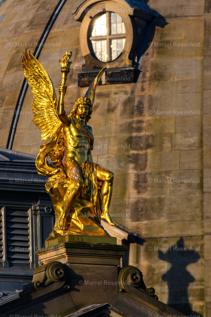 _DSC4325 | foto-rosenfeld