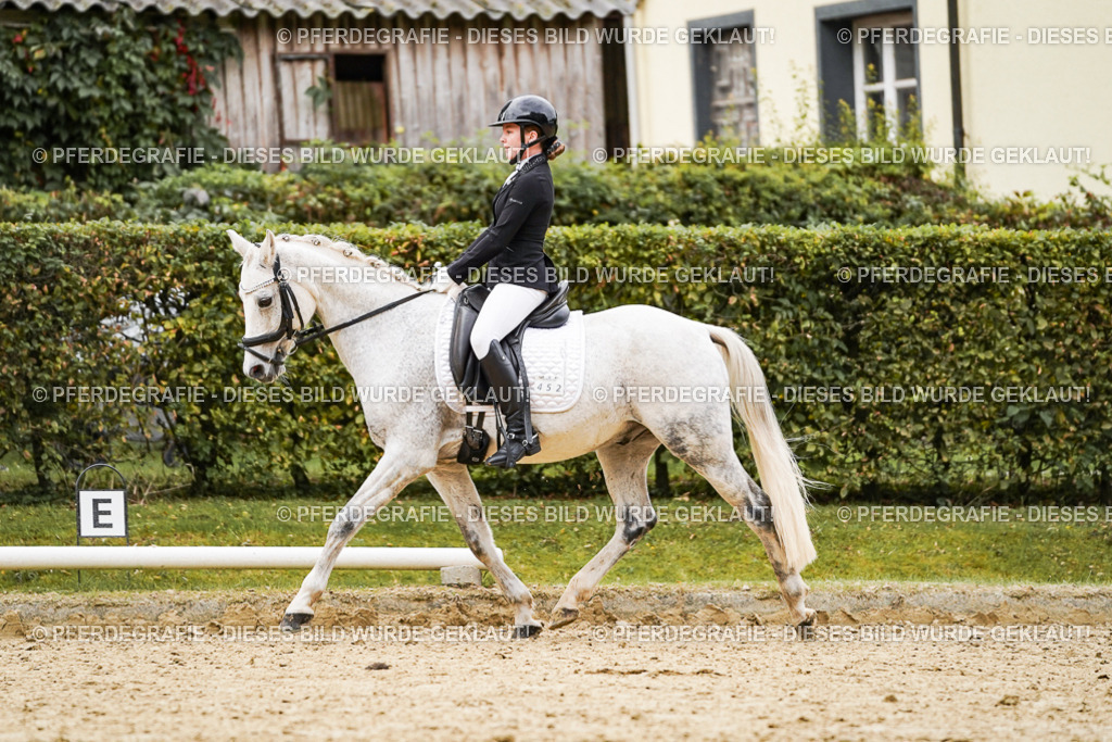 DSC07709 | Pferdegrafie