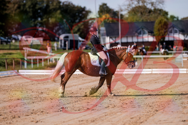2026_10_03_Siefer-Hof_114425_Z81_87260868 | Professionelle Reitsport-, Turnier- und Eventfotografie von Robert Broda. Galerien mit ausgewählten und bearbeiteten Bildern direkt online ansehen und bestellen.