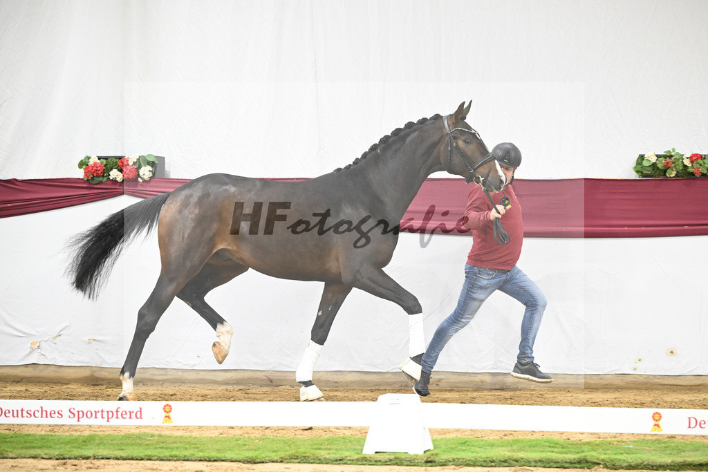 Kat-Nr. 42 So Perfect x Dancier_ZG Nahm_47251461 | hf-fotografie - Realisiert mit Pictrs.com