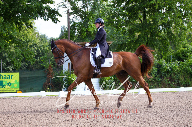 DKP41583 | Turnierfotos kaufen im Webshop von Daniel Kuhl Photography – entdecke professionelle Reitsportfotos aus Turnieren & Events. Hochwertige Turnierbilder online bestellen & sichern. Jetzt Fotos von Reitsportturnieren kaufen!