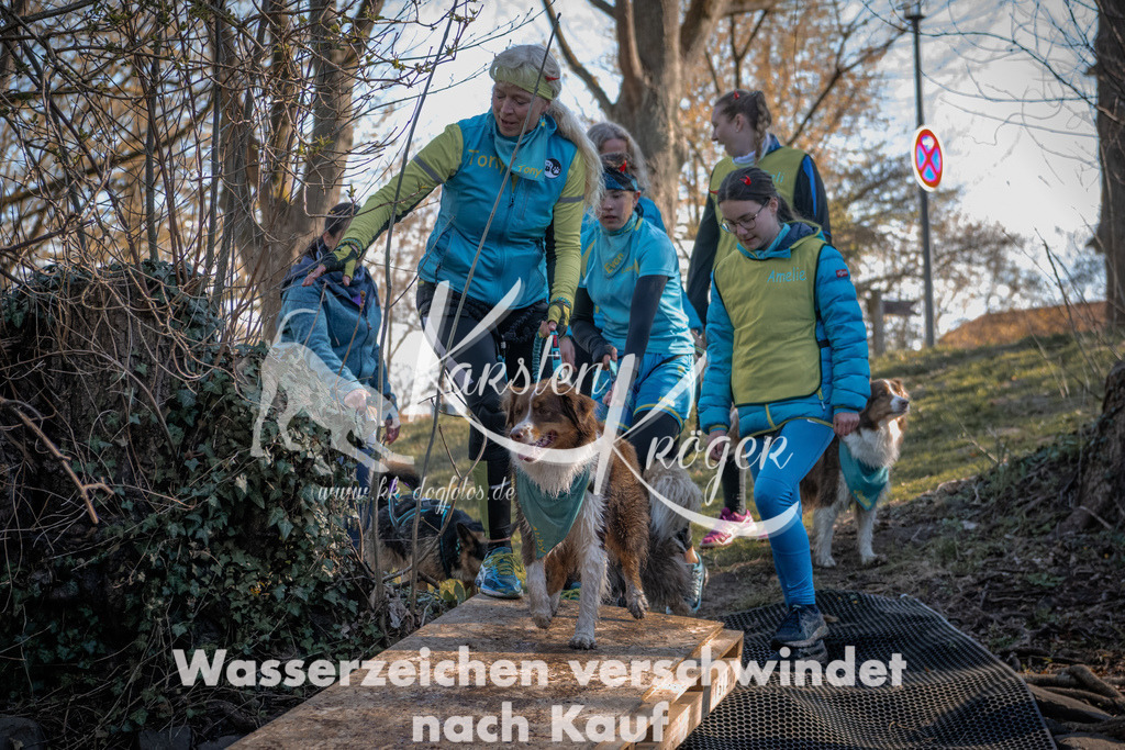 0827_ZZ91027 | kk-dogfotos