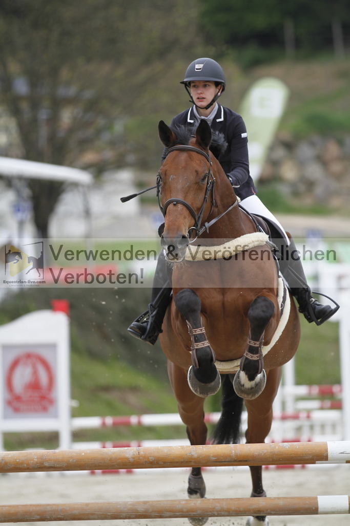 _MG_1300 | equestrian-live-com