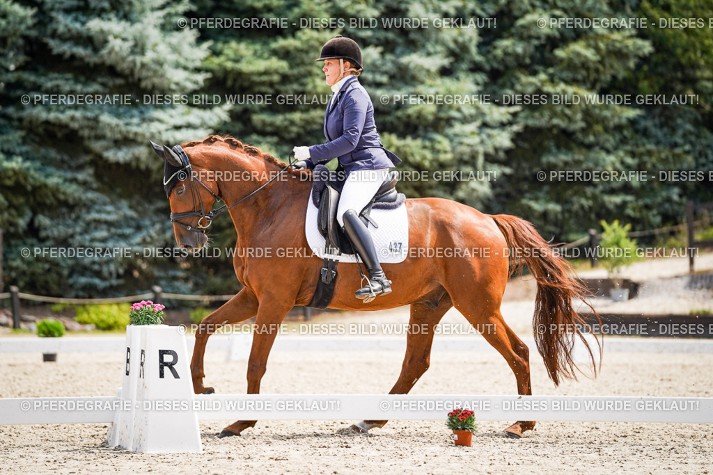 DSC00634 | Pferdegrafie