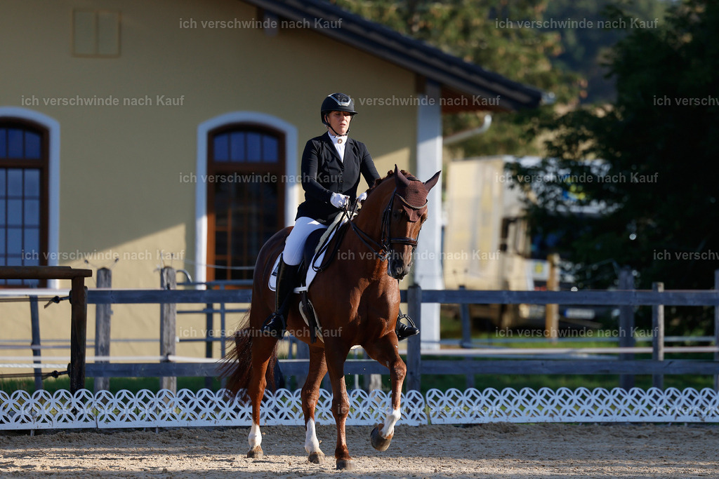 09_1-230-DRESSUR  S_  -StoibPH-5539 | working equitationturnier fotograf videograf stoibphotography marixx film working equitation deutschland reitsport turnierfotografie eventfotografie equestrian events