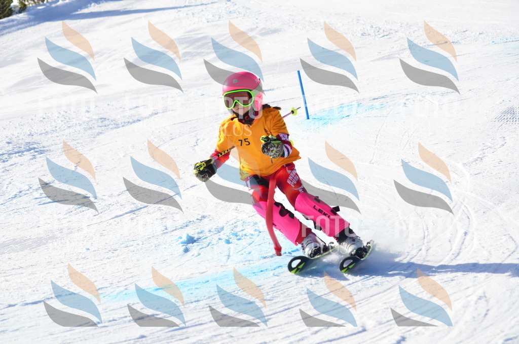 C5929 | holidayphoto