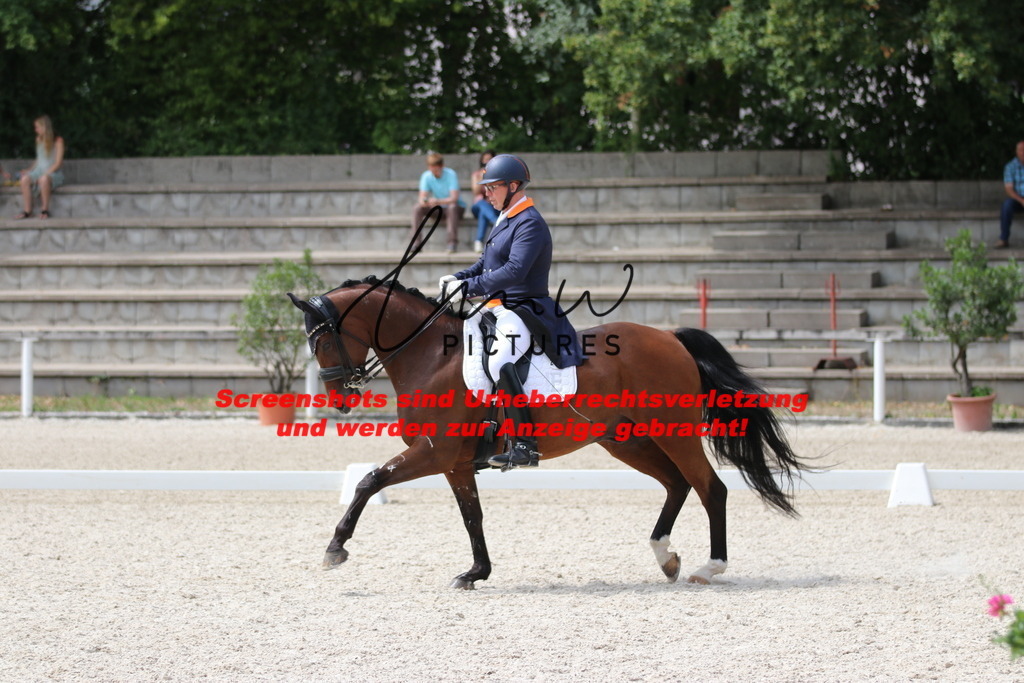 IMG_1858 | lmwpictures - Realisiert mit Pictrs.com