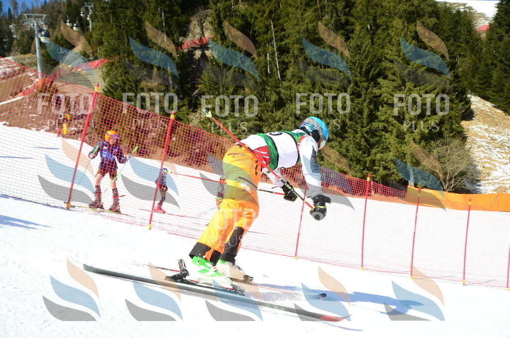 C7017 | holidayphoto