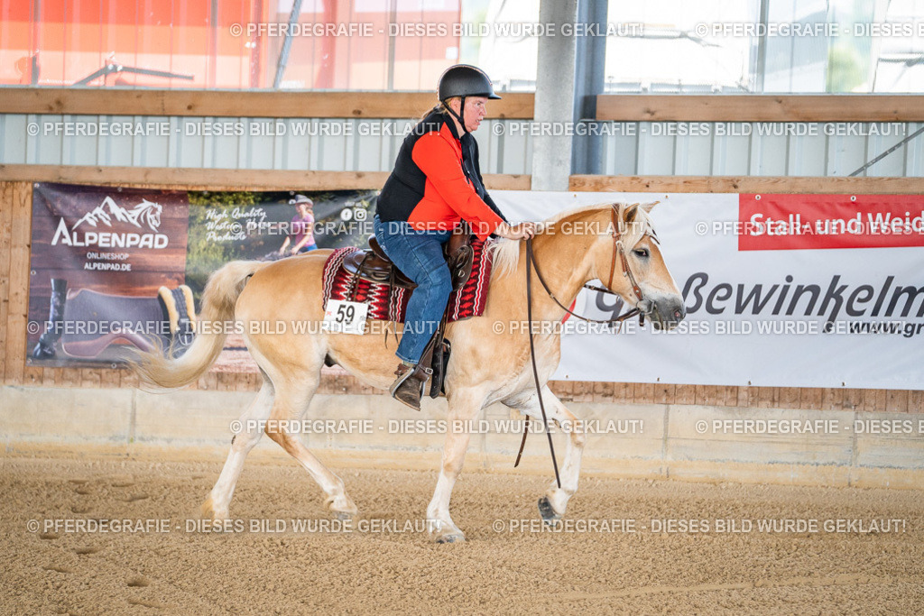 DSC01500 | Pferdegrafie