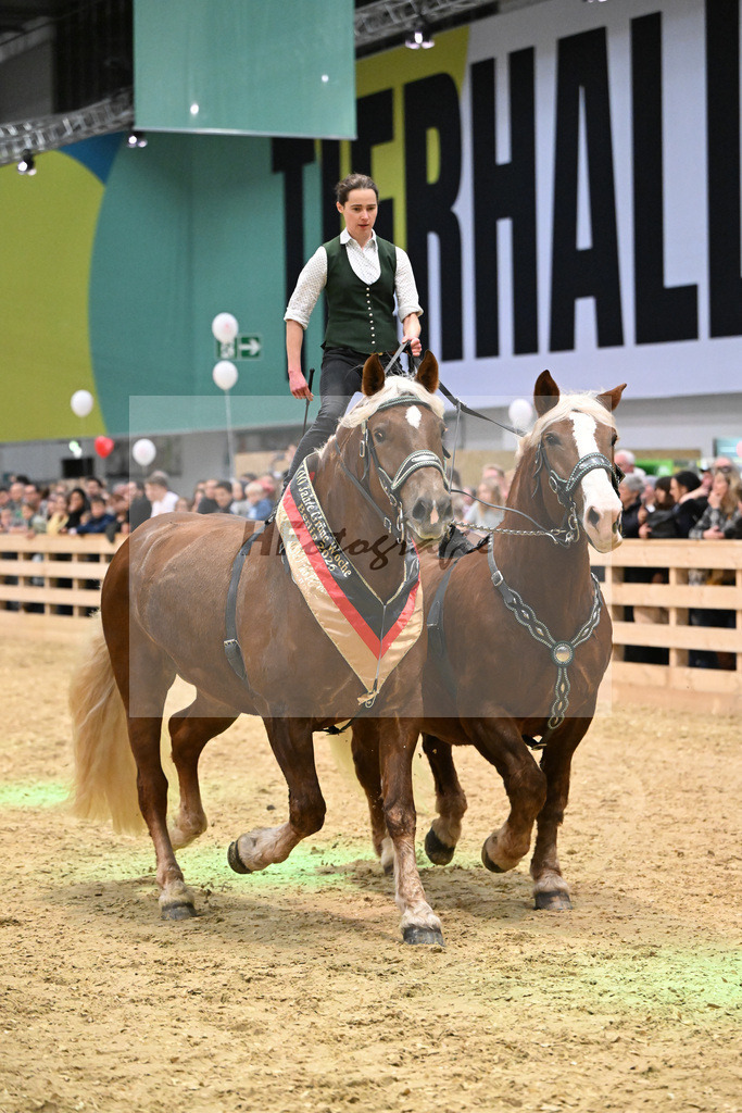 Schauprogramm_Ungar. Post_1260898 | hf-fotografie - Realisiert mit Pictrs.com