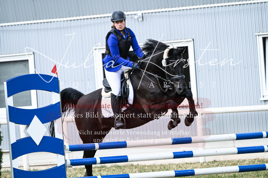 DSC_8973 | Pferde- und Turnierfotografie in Westsachsen. Pferdeportraits, Auftragszeichnungen und intuitive Kunst.