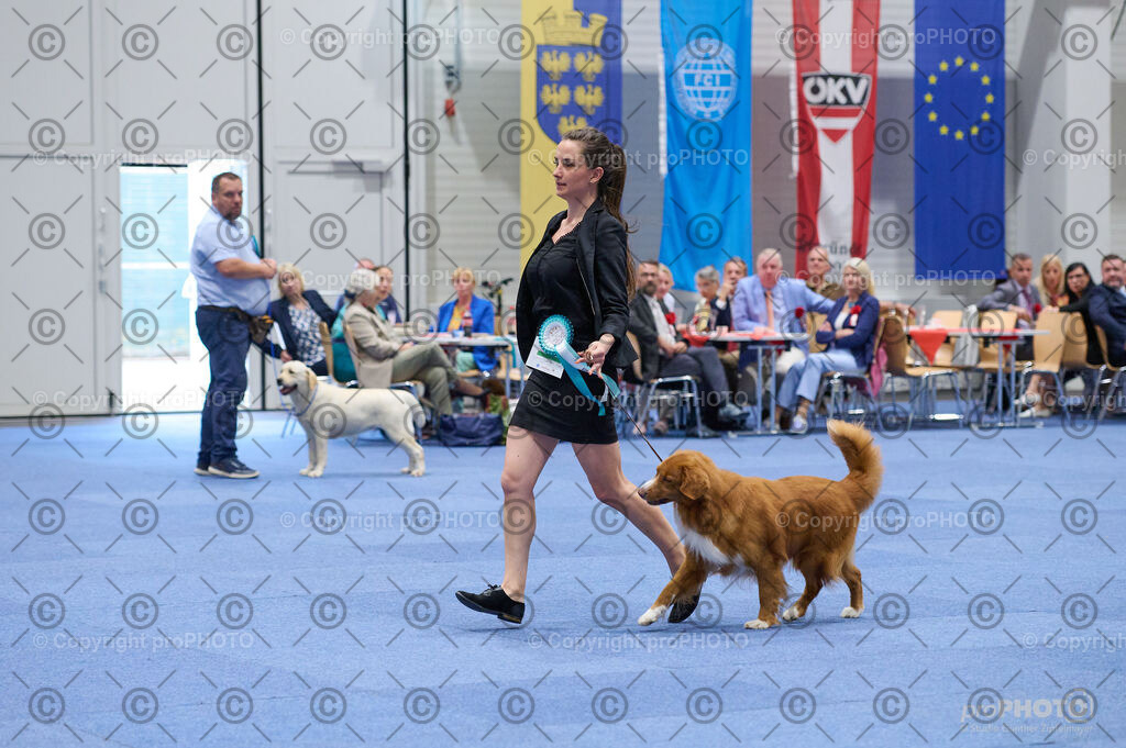 202406_ÖKV-IHA-Tulln24_DSC_3174 | proPHOTO - Realisiert mit Pictrs.com