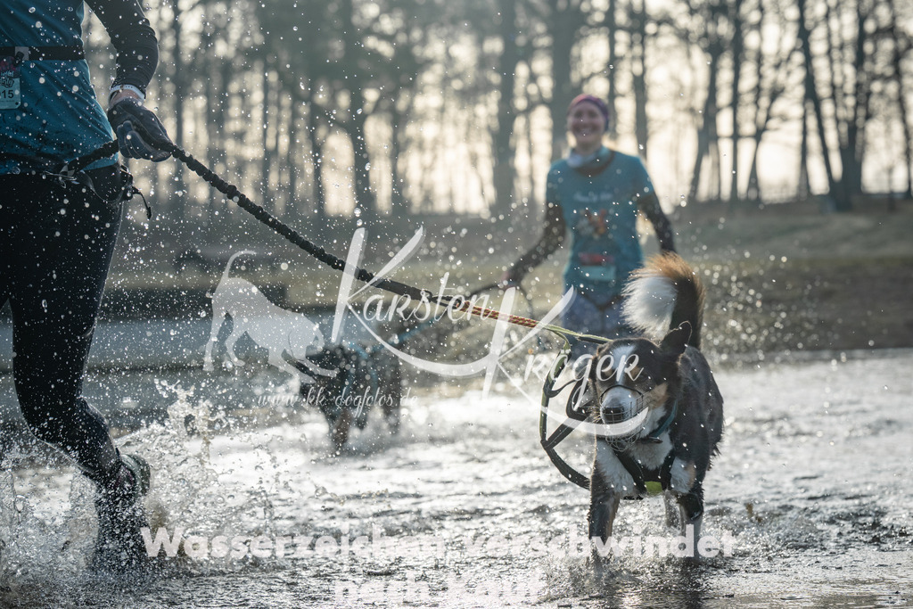 0827_ZZ97246 | kk-dogfotos