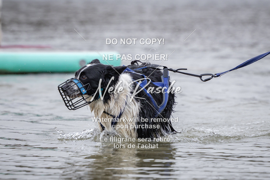 nelerasche_Hulsbeek_Sa1515-1600_547 | nelerasche