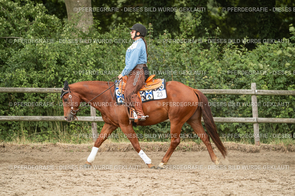 DSC03210 | Pferdegrafie