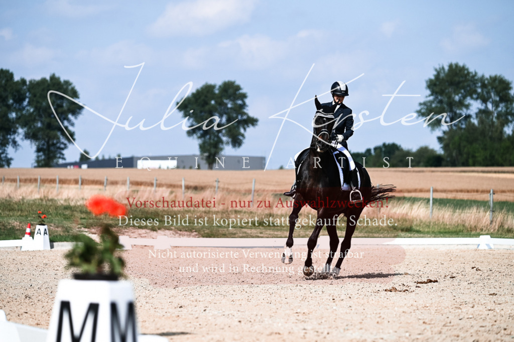 DSC_3324 | Pferde- und Turnierfotografie in Westsachsen. Pferdeportraits, Auftragszeichnungen und intuitive Kunst.