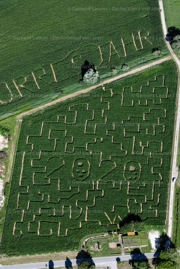 4034084 | OPFINGEN 30.06.2020 Irrgarten - Labyrinth in einem Maisfeld in Opfingen im Bundesland Baden-Württemberg, Deutschland. // Maze - Labyrinth on in a corn field in Opfingen in the state Baden-Wuerttemberg, Germany. Foto: Gerhard Launer