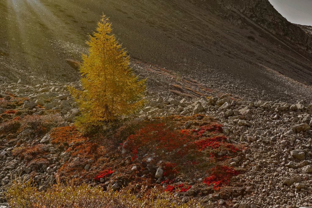 2023_10_07 A7V00281 | bridgeman - Realisiert mit Pictrs.com