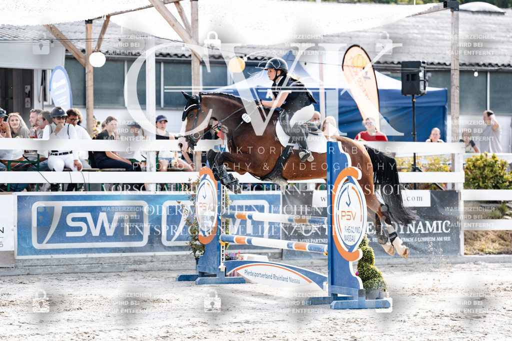 CK905786 | Turnierfotografie Pferdefotografie Trier Rheinland-Pfalz Pferdesport Reitsport Tierfotografie Sportfotografie Pferdevideo Pferdevideografie Equestrianvideography equestrianphotography  - Realisiert mit Pictrs.com