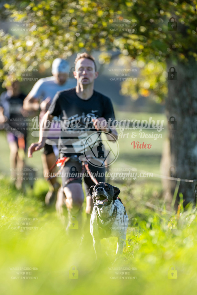 MompixPhotography_20TSB_E3_Run-158 | PayLife