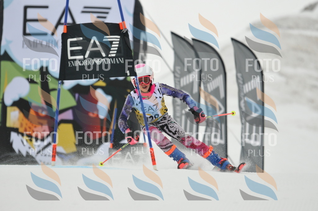 DSC_8267 | holidayphoto