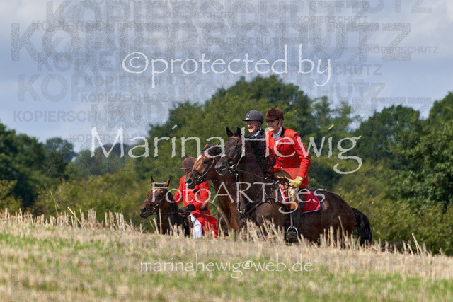 _MCH8399_Marina Hewig | Fotografie, FotoArt, PferdesportArt, Pferdesportfotografie, Landschaftsfotografie, Reisefotografie, Reise, Pferde - Realisiert mit Pictrs.com