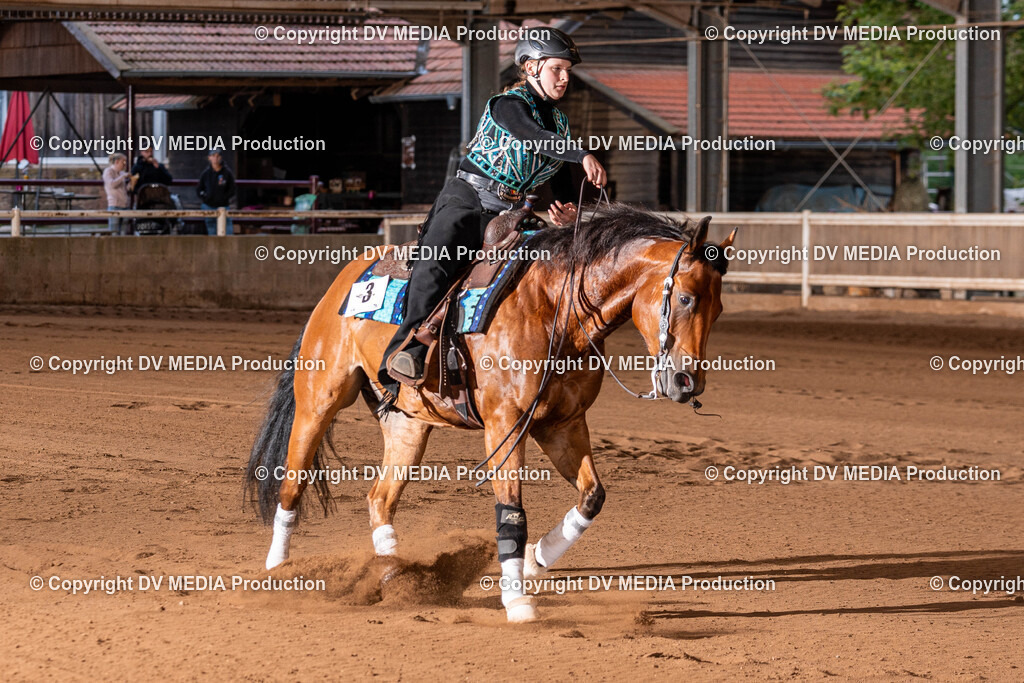 Erbach Tag 2-1252 | dv-media-shop - Realisiert mit Pictrs.com